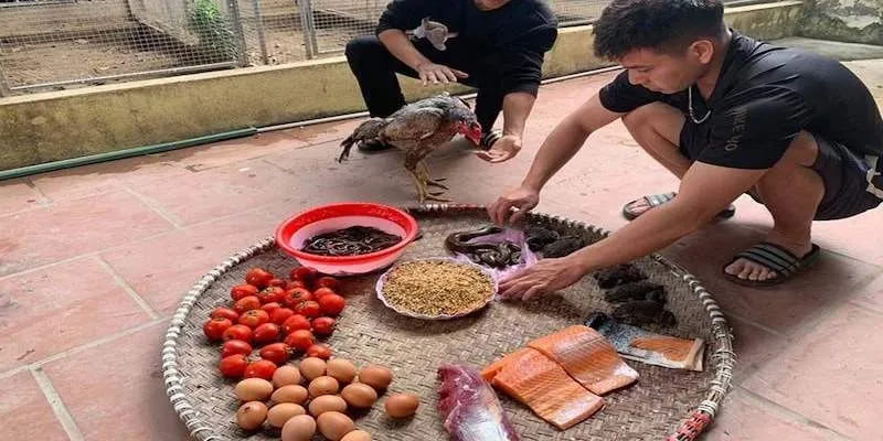 Nguồn thức ăn chính cần thiết