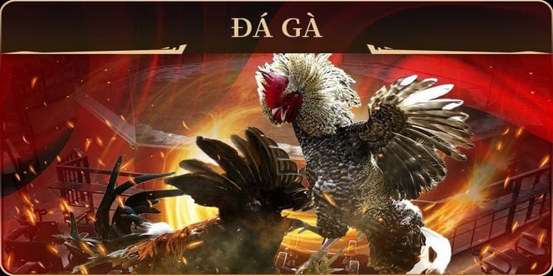 Thưởng lớn hấp dẫn